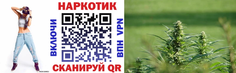 Купить наркотики сайты Новодвинск ГАШ  Псилоцибиновые грибы  АМФ  Конопля  COCAIN  МЕФ  СК 