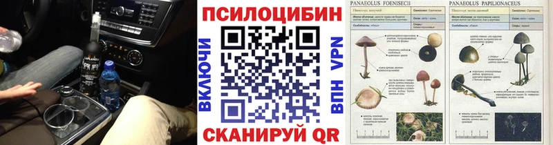 Псилоцибиновые грибы мицелий  Новодвинск 